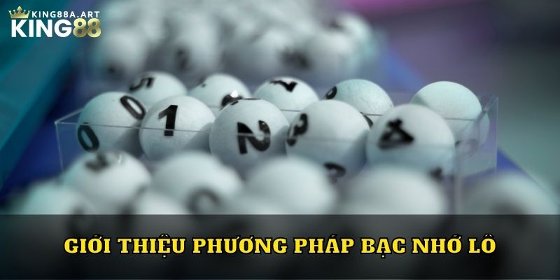 Giới thiệu phương pháp bạc nhớ lô