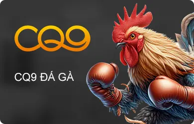 sảnh đá gà CQ9 king88