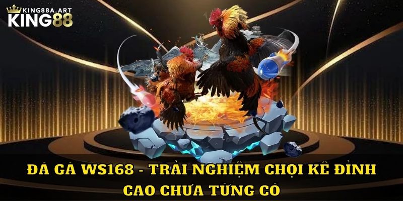 Đá Gà WS168 Trải Nghiệm Đỉnh Cao Tại King88