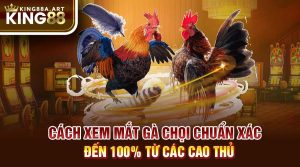 Cách Xem Mắt Gà Chọi Chính Xác 100% Sư Kể Nên Biết